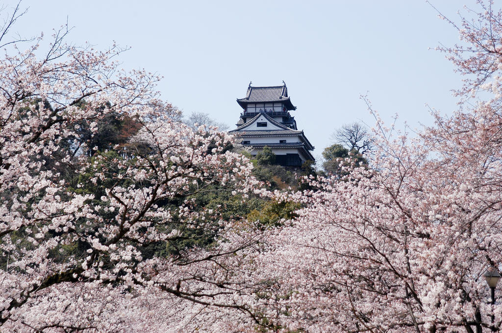Meitetsu Hotel Inuyama Aichi Exteriör bild